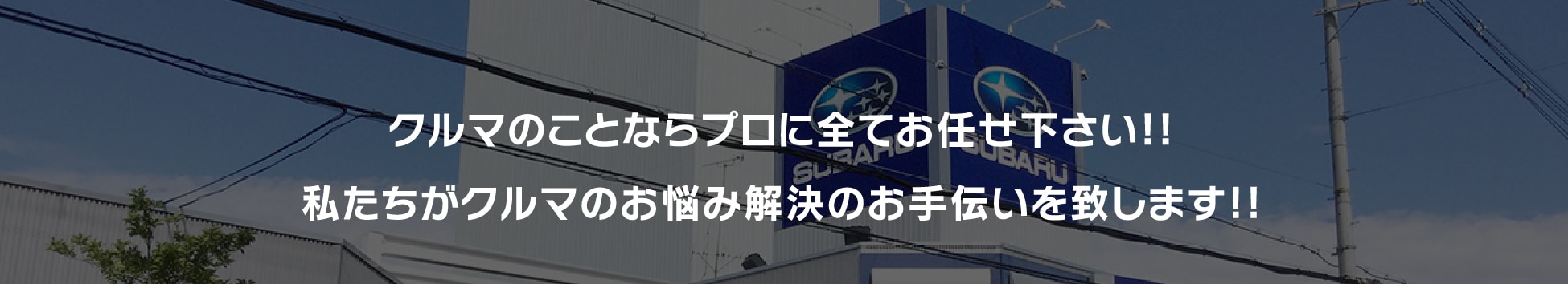 クルマのことならプロに全てお任せ下さい!!私たちがクルマのお悩み解決のお手伝いを致します!!
