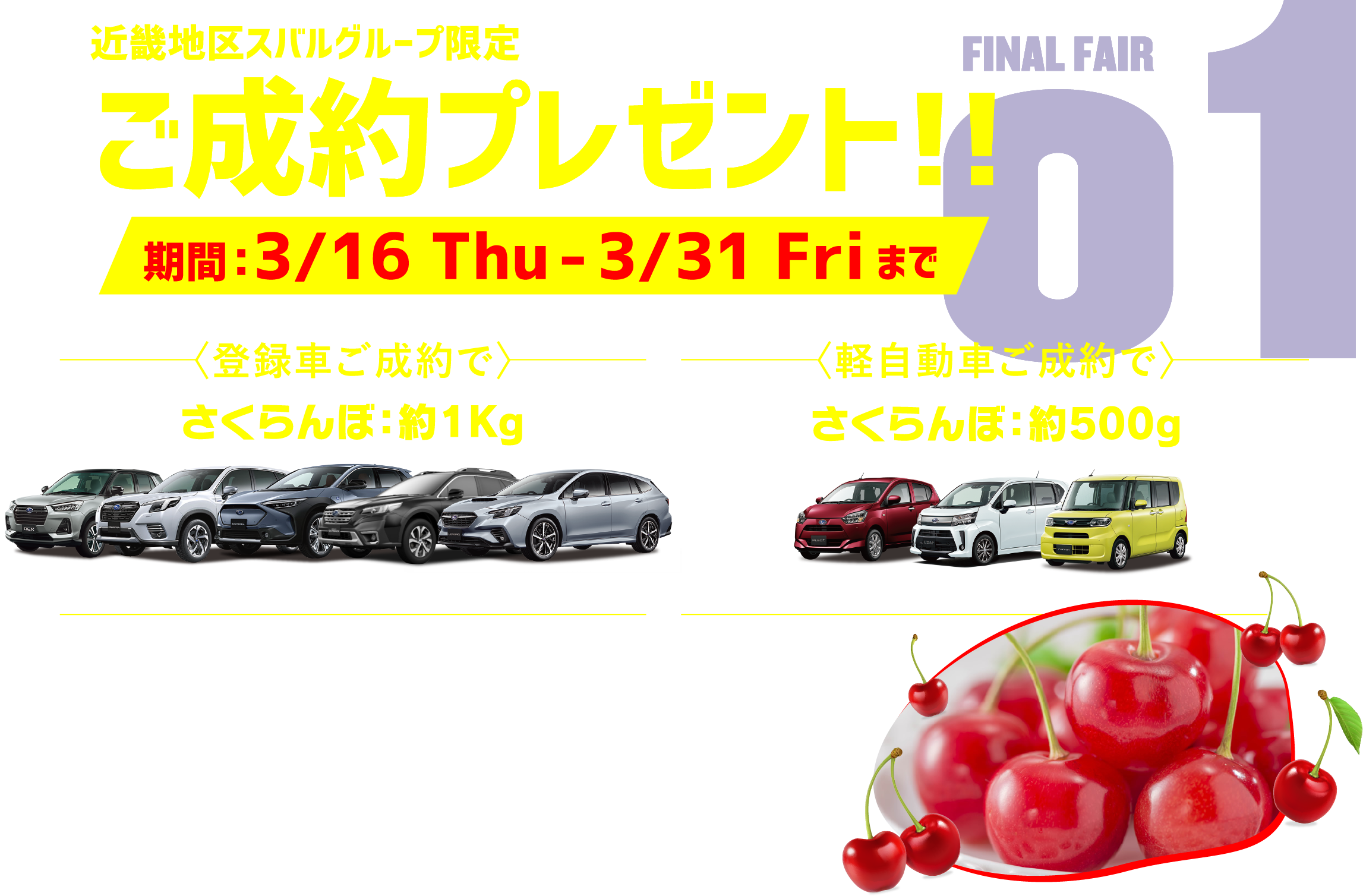 final FAIR 01 近畿地区スバルグループ限定ご成約プレゼント!!期間：3/16 Thu- 3/31Fri〈登録車ご成約で〉さくらんぼ：約1Kg 〈軽自動車ご成約で〉さくらんぼ：約500g 山形県産 佐藤錦 果肉、果汁ともに多く、甘さと酸味のバランスが良い品種です。