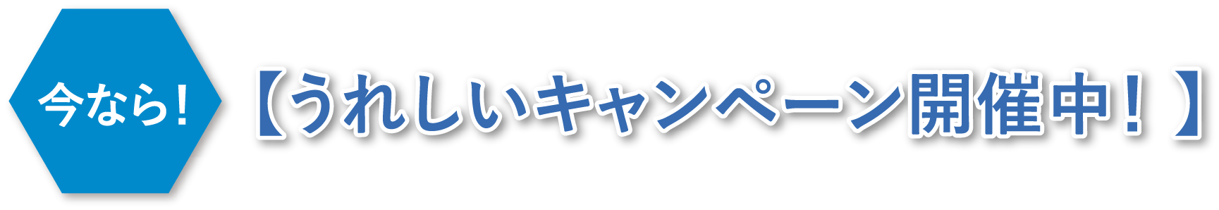 期間限定特別仕様車6月1日（土）～ 9月30日（月）