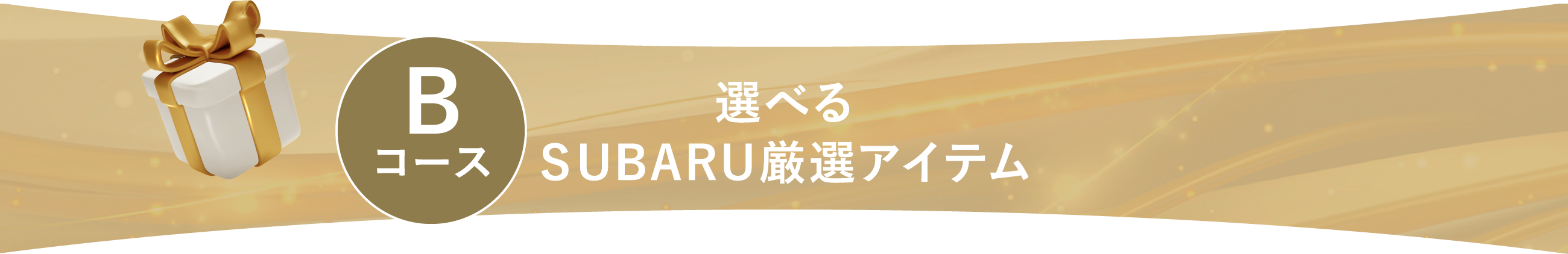 Bコース：選べるスバルアイテム