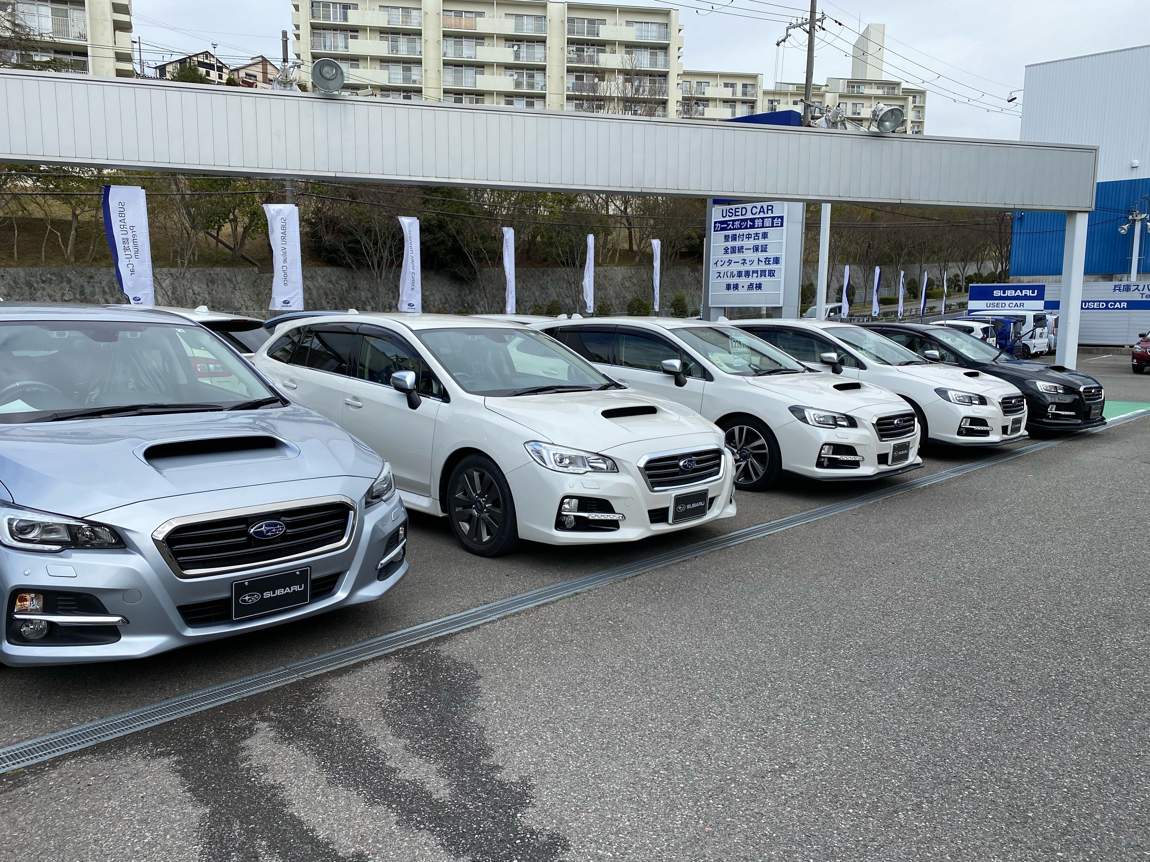 只今 レヴォーグ 軽自動車が揃ってます カースポット鈴蘭台 スタッフブログ 兵庫スバル自動車株式会社