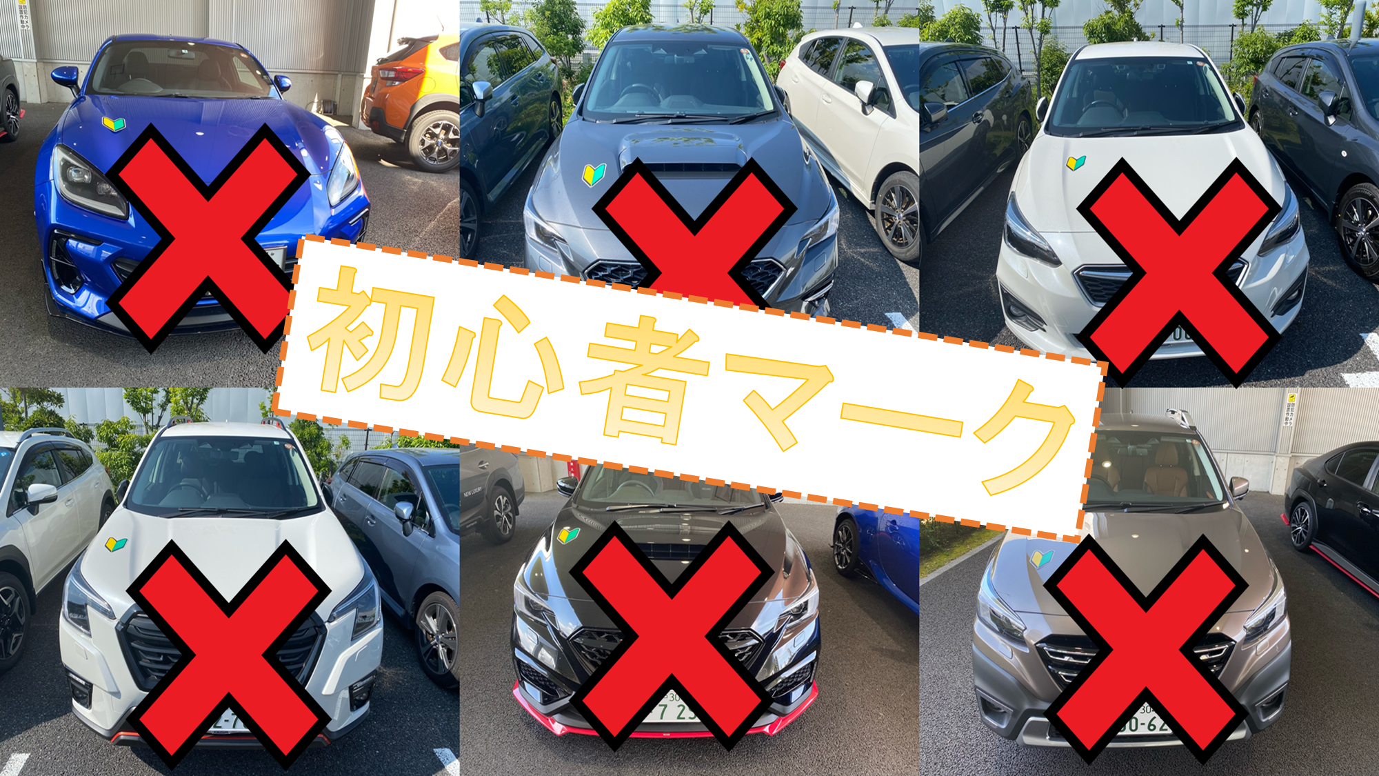 活動歴および当時の関連ビジュアル記録